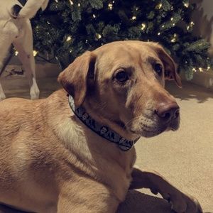 Meet your Posher, Kara